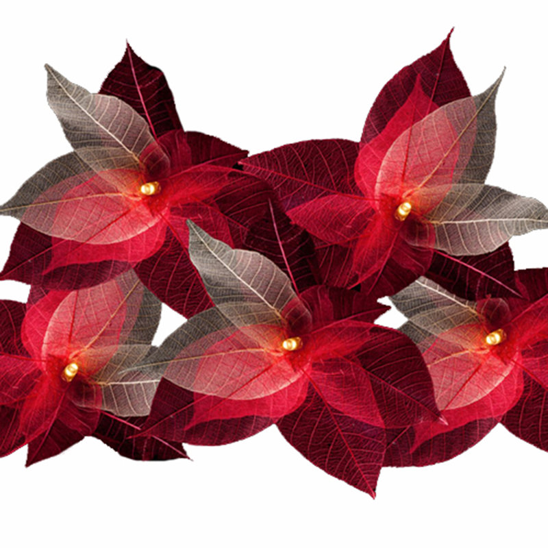 Bartok LED Natural Leaf String Light / 20 Lamps - 6 Metre Long