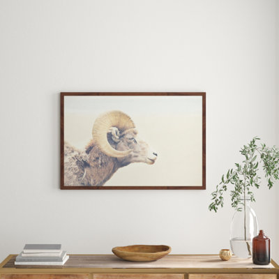 Parvez Taj - Single Picture Frame Print
