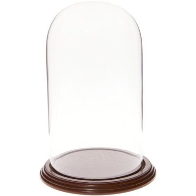 Jenett 5.5" x 10" Glass Display Dome Cloche