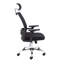 Mesh Office Chair with Headrest