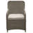 Neerav Patio Dining Armchair with Cushion