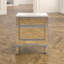 Caila Mirrored 2-Drawer Accent Chest-1863326901