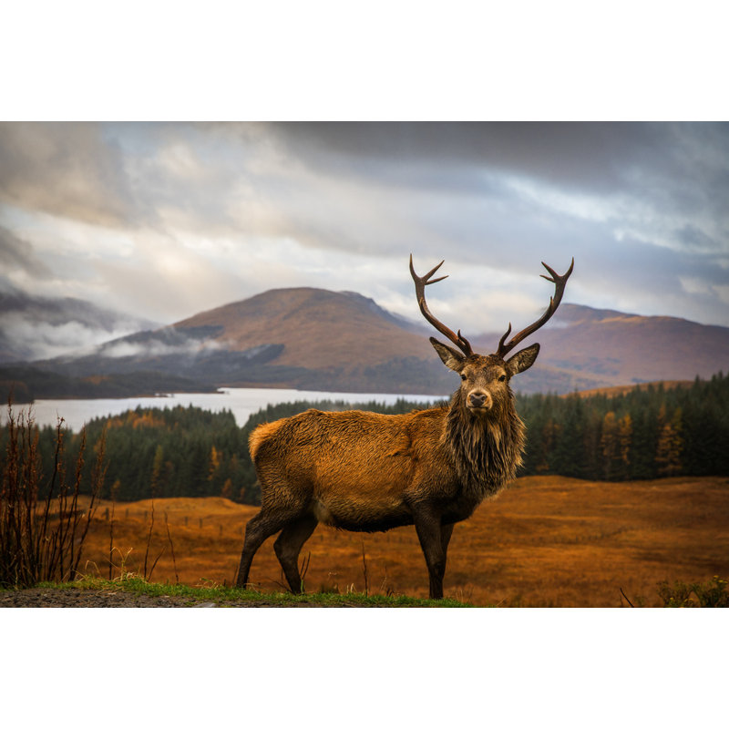 Wrapped Canvas Print, 50.8 cm H x 76.2 cm W