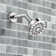 Ignite Spot 2.5 GPM Five-Function 3 3/4 in. Diameter Spray Head Wallmount