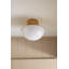 Lettie 1 - Light Flush Mount-197771604-164942383