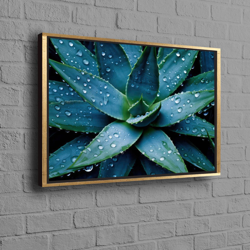 Reproduction botanique personnalisée sur toile plante grasse parfaite pour la décoration de bureau ou cadeau idéal pour les murs de salon ou de bureau
