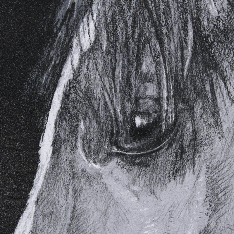 Equestrian Portrait Hand Embelished Textured Framed Art Print Matted under Glass