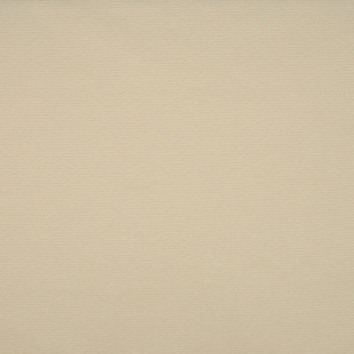 Allure Fabric