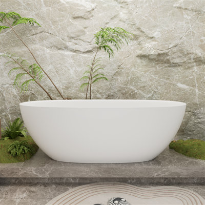 Baignoire de trempage autoportante moderne ovale en résine 64,98 po x 30 po