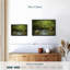 Animal «Spirit Bear In Hartley Bay Wall Art»-101793999