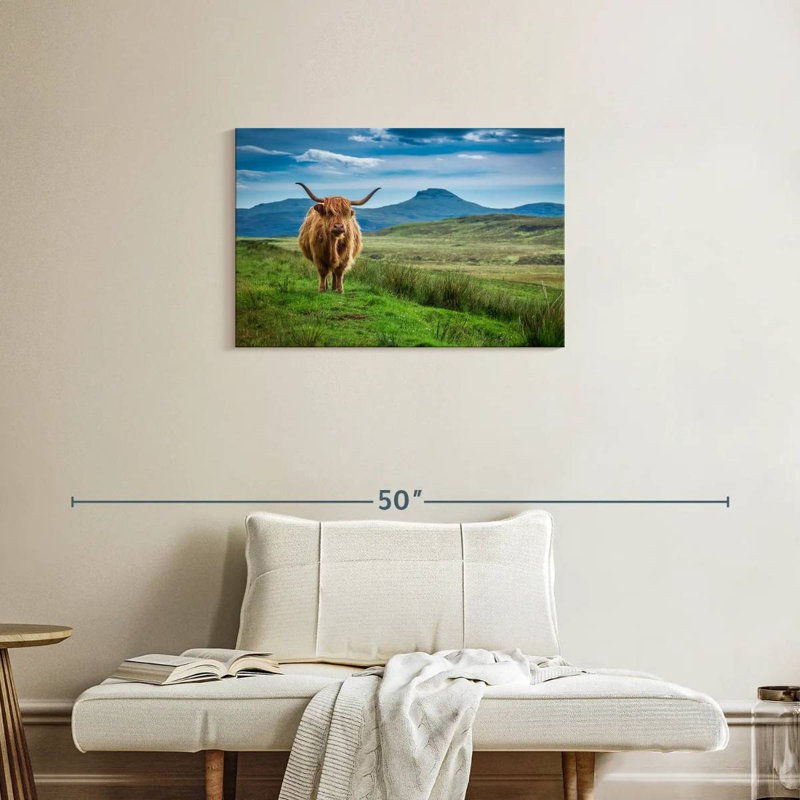 Brampt Skye Highland Cow, H 20 po x l 30 po