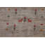 Tapis indien Earth Tone Gabbeh