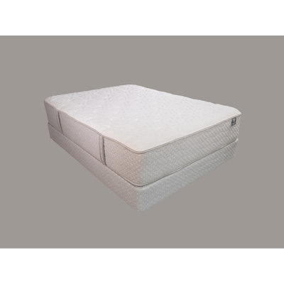 Peluche LYON