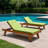 2PCS Set Outdoor Lounge Chair Cushion Replacement Patio Funiture Seat Cushion Chaise Lounge Cushion With Pillow -Apple Green