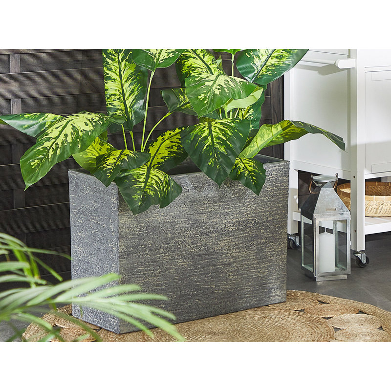 Adelia Pot Planter, 50cm H x 70cm W x 29cm D