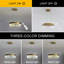 Ayyaan LED Chandelier