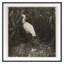 Coastal Birds 2 Print by THE Studio-1385129402-1385129403