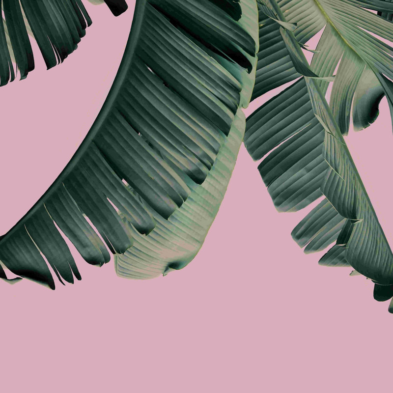 «Banana Leaf Blush», impression sur toile tendue, L 12 po x H 12 po