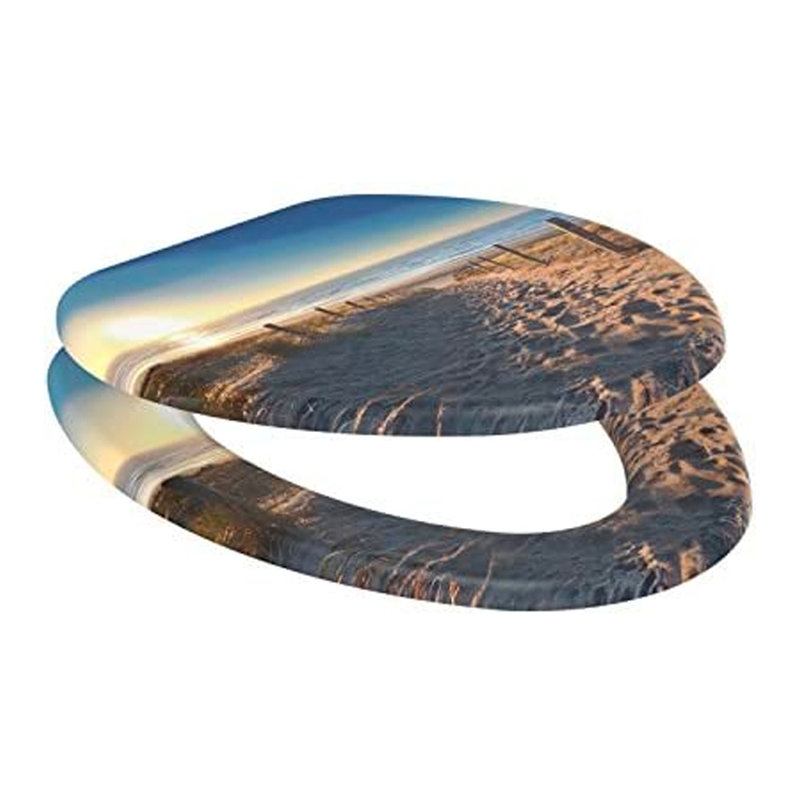 Elongated Toilet Seat and Lid