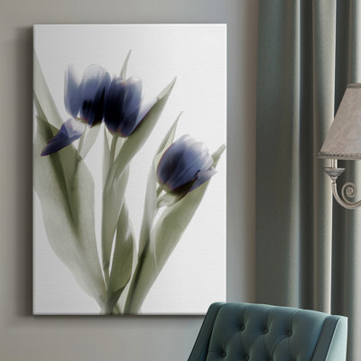 «Xray Tulip IV», impression sur toile tendue