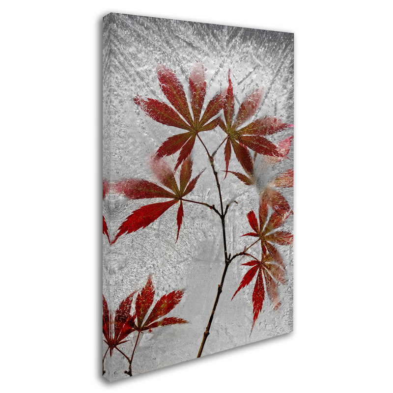 « red érable », reproduction de photo sur toile tendue, H 19 po x l 12 po