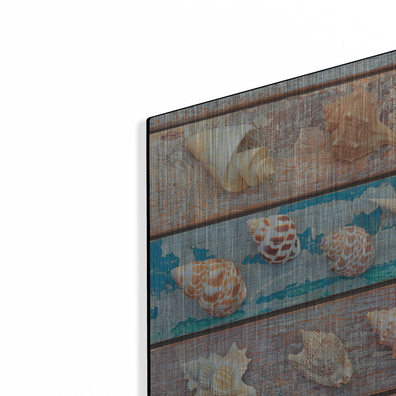 «Sea Snail Shells» par Cora Niele, H 16 po x l 24 po