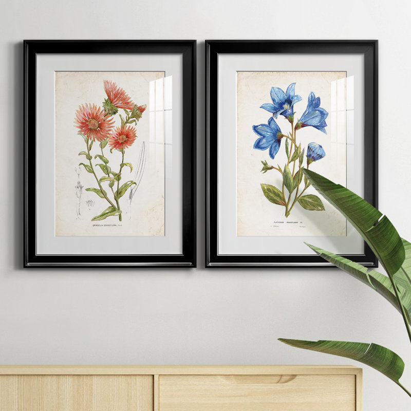 «Botanical I», ensemble de 2 reproductions d'art, Blanc, H 31,5 po x l 47 po x P 1,5 po, H 22,5 po x l 61 po x P 1,5 po