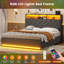 Upholstered Platform Storage Bed-2123769639