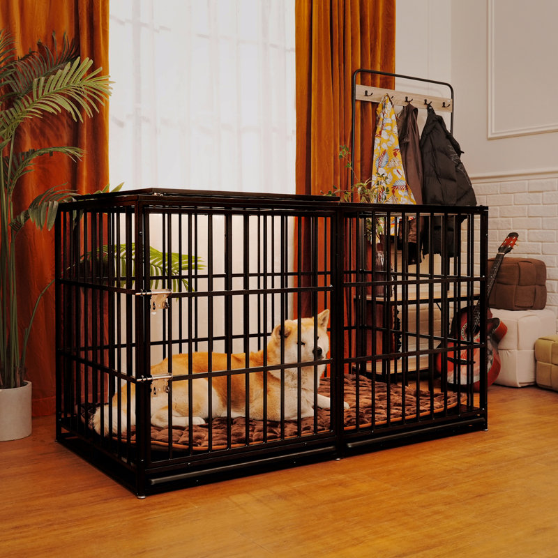 Cage pour chien 61 po extra large 61 po