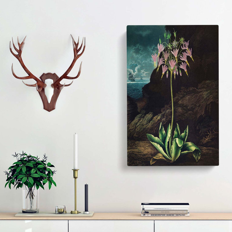 American Cowslip Plant - Wrapped Canvas Painting, 50cm H x 35cm W x 3cm D