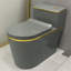 Dual-Flush Elongated One-Piece Toilet (Seat Included)