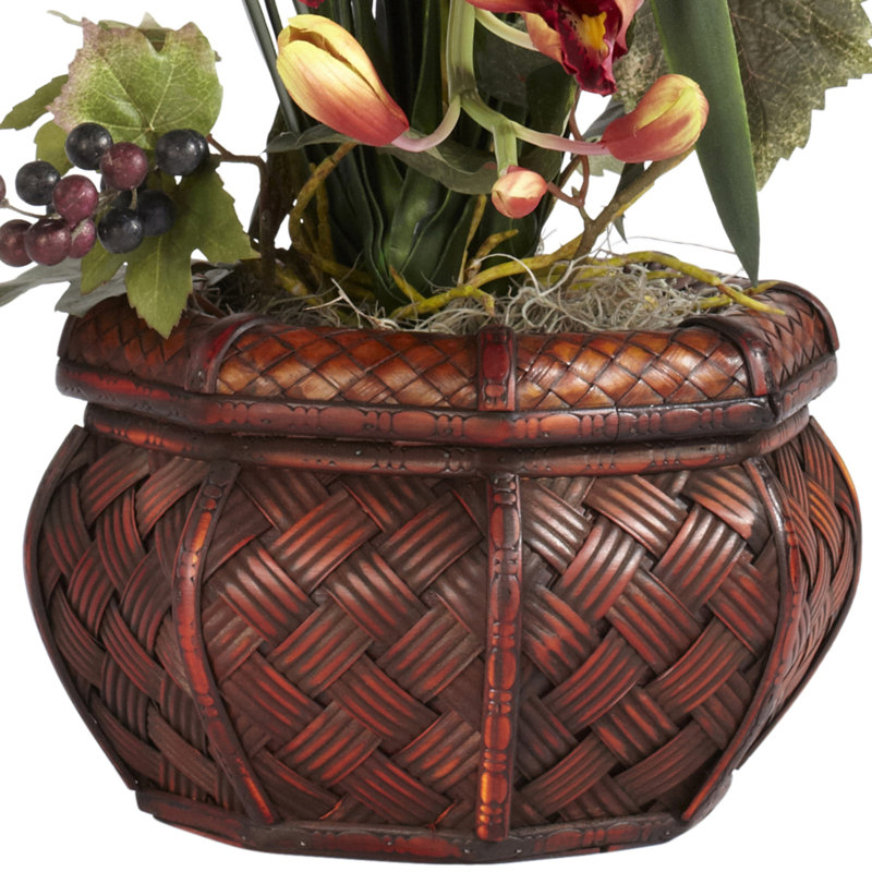 Orchid Arrangement in Vase