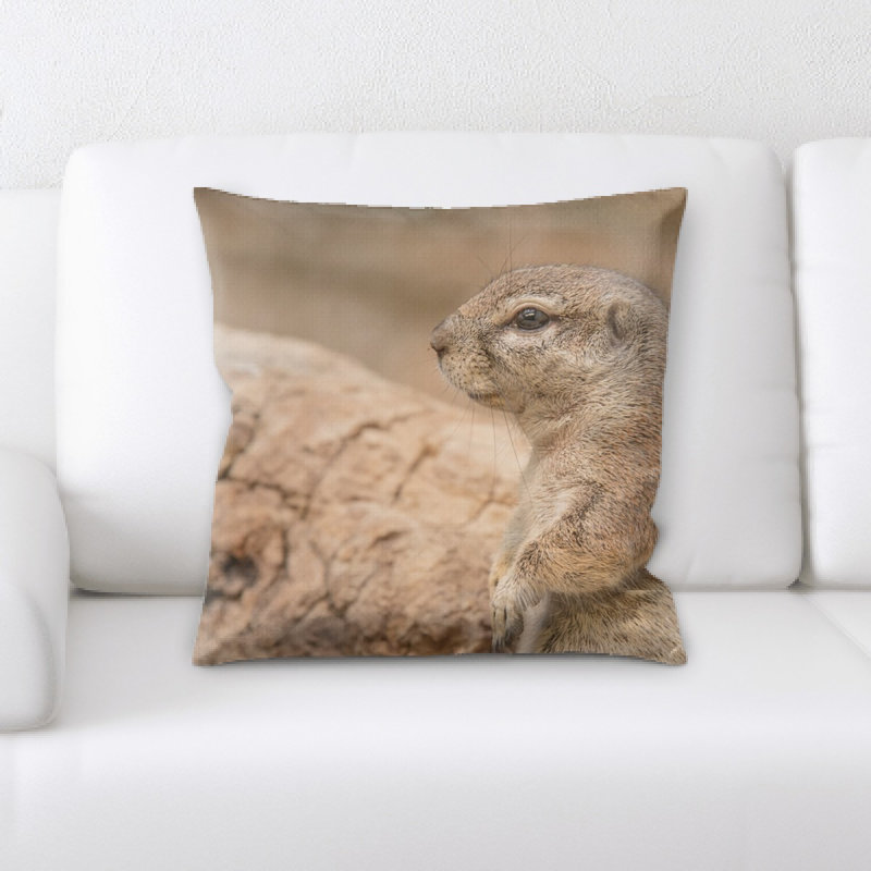 Housse et insert de coussin carré Gophers