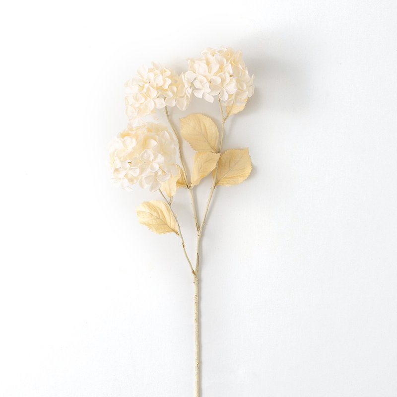 Hydrangea Arrangement