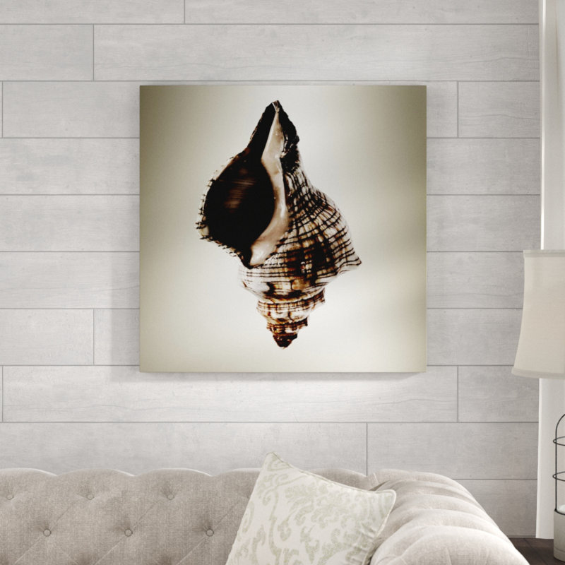 «Gilt Shells IV» par Zoey Riley - photographie, Plexi, H 30 po x l 30 po x P 1,5 po