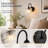 1-Light Armed Sconce with Glass Shade