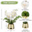 Arrangement in Vase