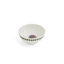 Botanic Garden 10 Piece Dinnerware Set