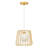 9.875"W Kanku Caged Globe Shade Pendant Light