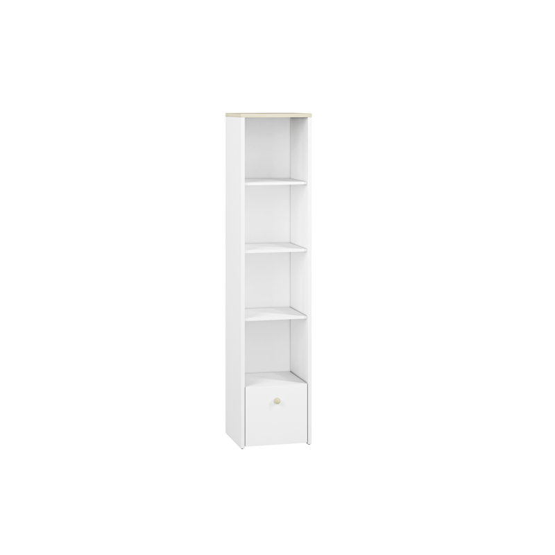 192.7cm H x 42.3cm W Geometric Bookcase