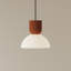 Buia Pendant Light-1099507982-1080129583
