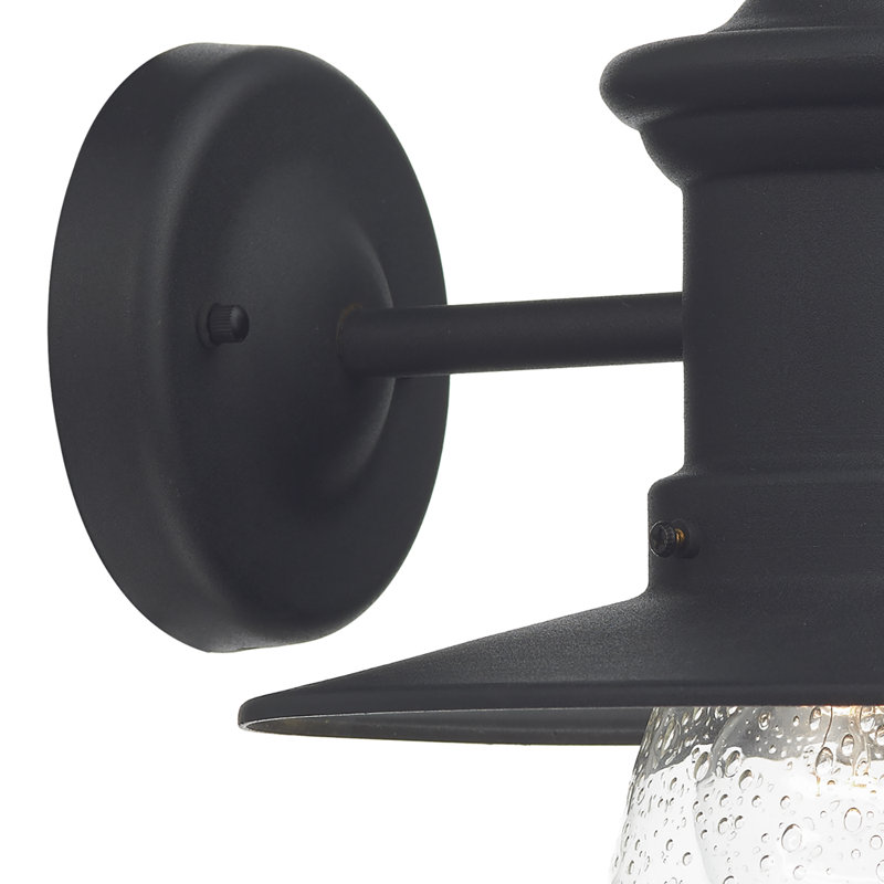 Desota Seeded Glass Outdoor Barn Light, Black