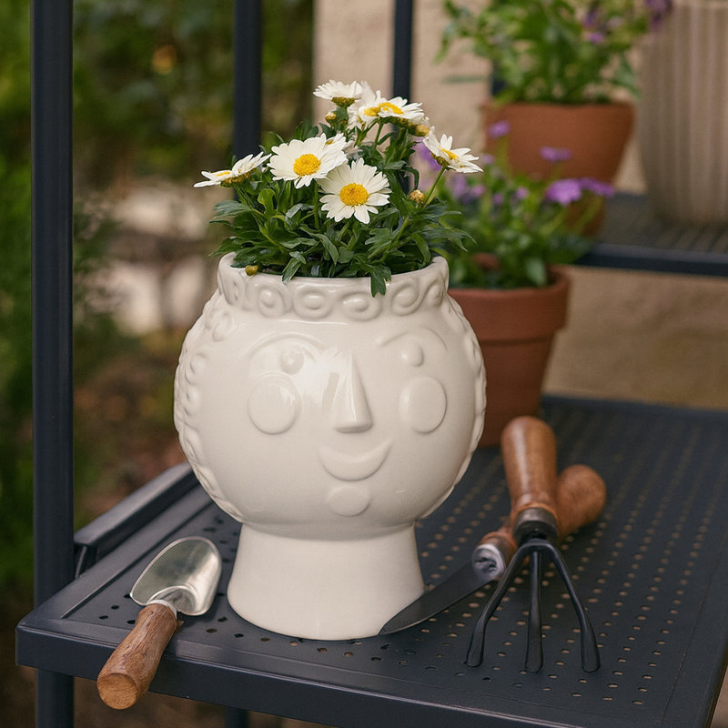 Weeda Decorative Sculpted Ceramic Outdoor and Indoor Planter for Home Decor - Stylish Flower Pot for Living Room or Patio Spaces - 7"