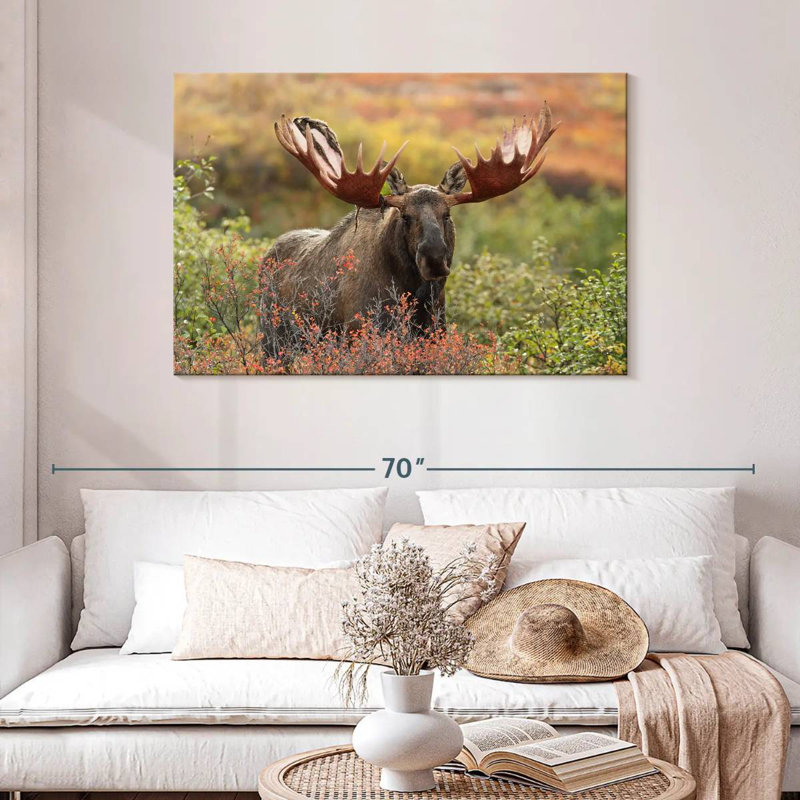 Brampt Denali Bull Moose, 30" H x 45" W