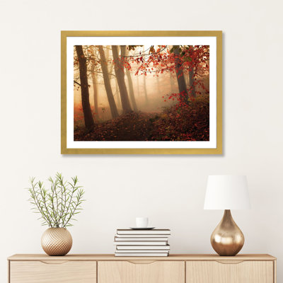 " Towards the Light " Color Photography Print