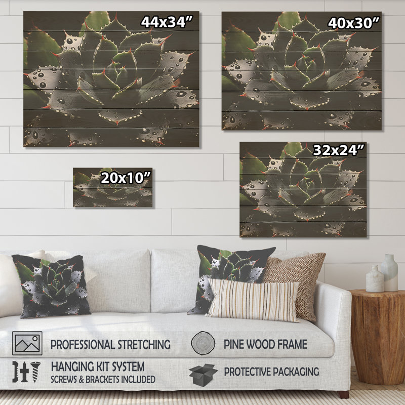 Photographie de cactus en fleurs noires - cactus floral sur bois, H 10 po x l 20 po