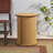 Cat Scratch Sisal Poster