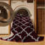 Machine Washable Trellis Red Area Rug-47264823