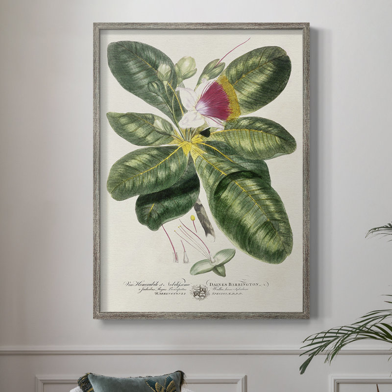 «Imperial Tropical Botanical I», reproduction encadrée - bois massif, H 11 po x l 9 po
