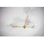 Stella 5 - Light Chandelier